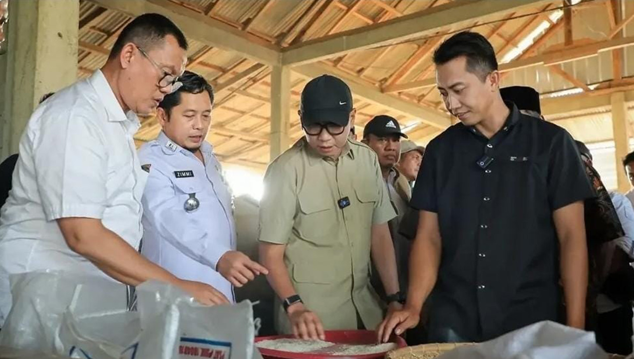 Gubernur Mirza Dorong Pupuk Hayati Cair, Kopi Lampung Berbuah Lebih Cepat dan Berkualitas