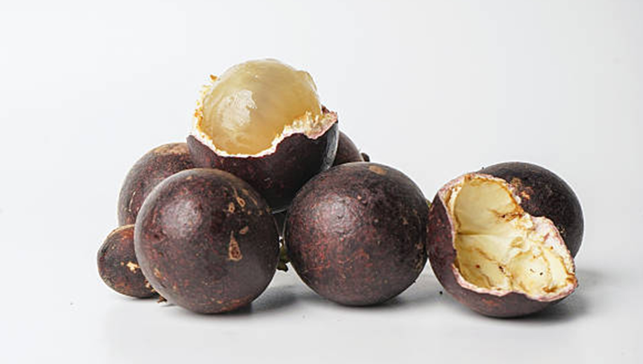 Matoa Pometia pinnata: Kandungan Aktif, Manfaat Antioksidan, dan Potensinya