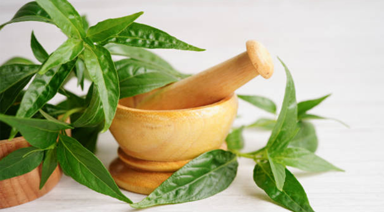 7 Manfaat Daun Sambiloto untuk Kesehatan, Herbal Pahit yang Kaya Khasiat!