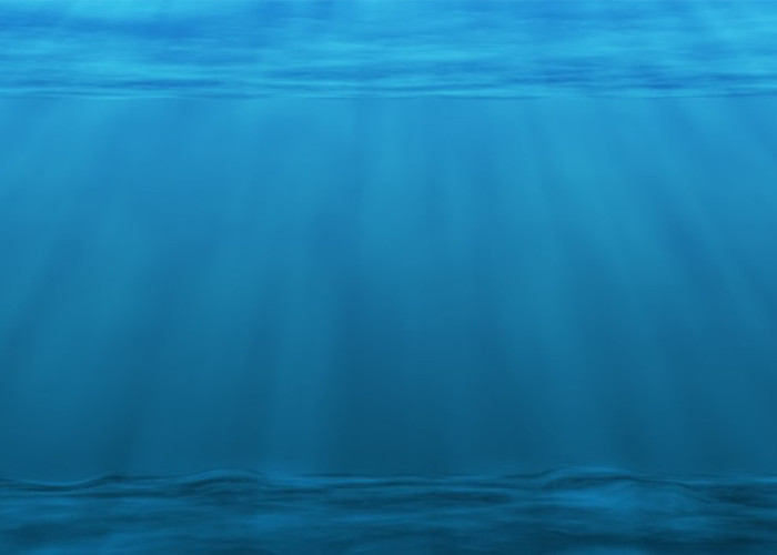 Misteri Laut Dalam: Dunia Gelap yang Menyimpan Kehidupan dan Fenomena Tak Terduga (Part 1)