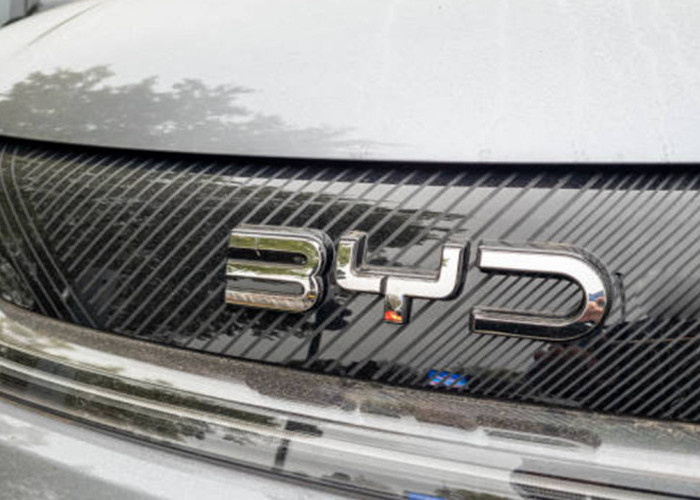 BYD Dolphin Review Lengkap: Harga, Jarak Tempuh, Kelebihan, Kekurangan, dan Apakah Layak Dibeli?