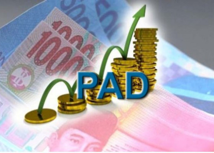 Pemkot Bandar Lampung Genjot PAD Lewat Relaksasi Pajak dan Inovasi Digital