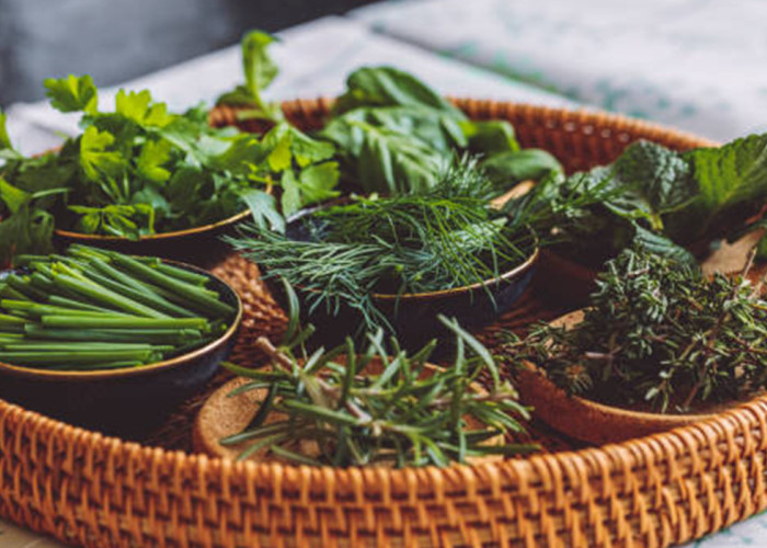 10 Tanaman yang Sering Dianggap Remeh, Ternyata Obat Herbal Ampuh untuk Berbagai Penyakit