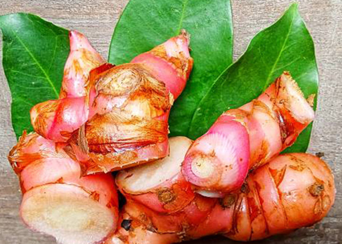 Manfaat Laos untuk Kesehatan: Rahasia Herbal Dapur yang Bisa Redakan Nyeri hingga Tingkatkan Imunitas