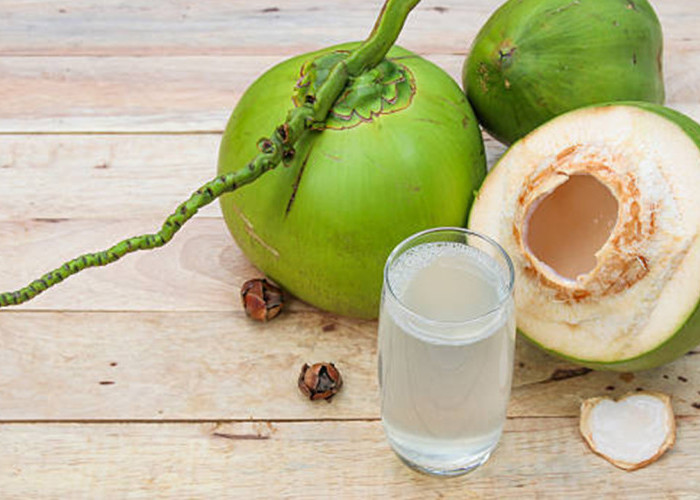 Rutin Minum Air Kelapa Muda, Ini Deretan Manfaat yang Bisa Dirasakan Tubuh