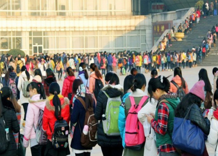 Di Saat Dunia Sibuk Scroll HP, Anak Muda China Justru Berbondong ke Perpustakaan! Ada Apa?