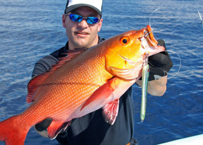 10 Spot Mancing Paling Gacor di Lampung, Dijamin Strike! Lengkap dengan Umpan Jitu