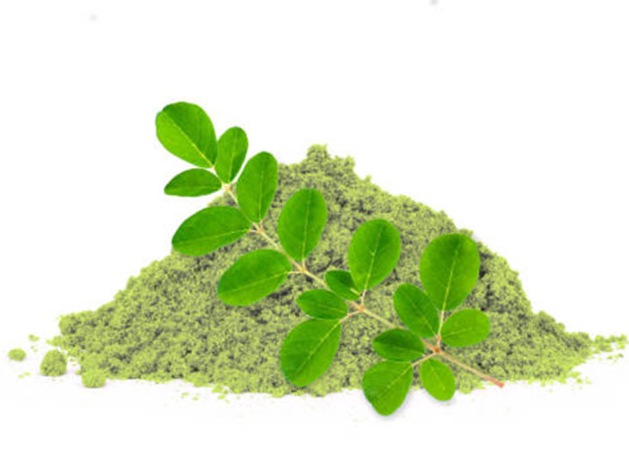 Manfaat Daun Kelor untuk Kesehatan: Superfood Murah yang Jarang Diketahui, Bisa Cegah Penyakit Ini!