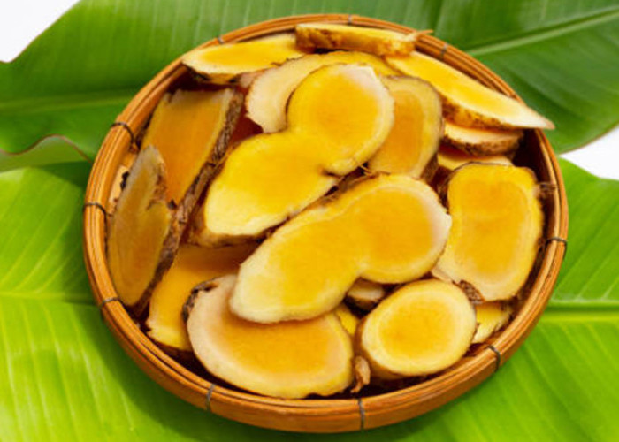 Kenali Khasiat Akar Bangle, Herbal Alami yang Dipercaya Meningkatkan Daya Tahan Tubuh