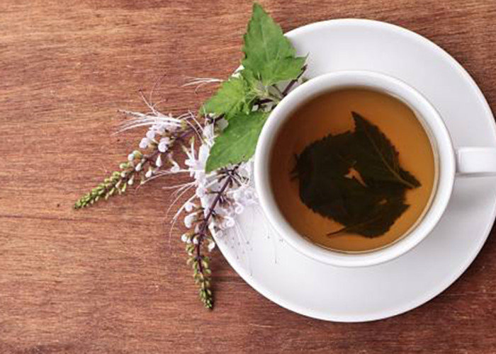 Khasiat Tanaman Kumis Kucing: Herbal Alami untuk Ginjal, Ini Penjelasan Ahli dan Cara Konsumsinya