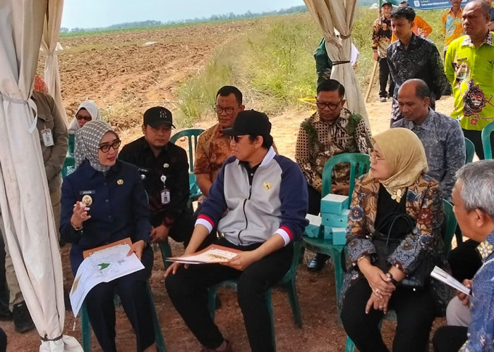 Wamenperin Faisol Riza Tinjau Lahan 7 Hektare Calon Balai Diklat Industri di Lampung, Fokus Hilirisasi Singkon
