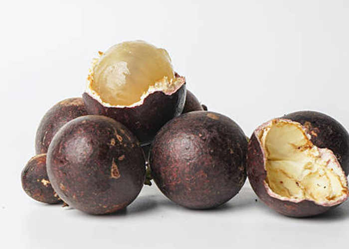 Matoa Pometia pinnata: Kandungan Aktif, Manfaat Antioksidan, dan Potensinya