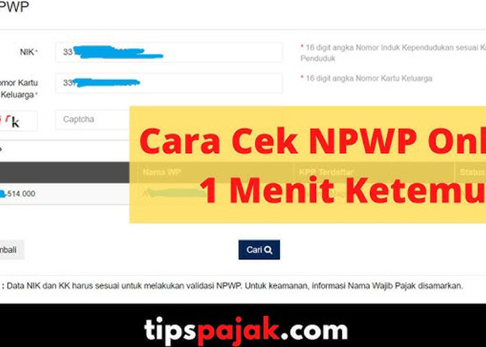 Cara Cek NPWP Pakai NIK/KTP Secara Online 2026: Cepat, Resmi, dan Tanpa Ribet!