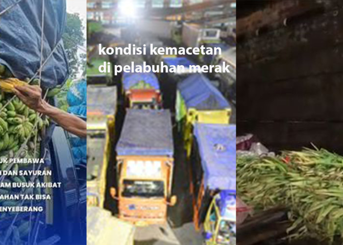 24 Jam Terjebak! Sembako Membusuk di Bakauheni, Sopir Tak Berdaya