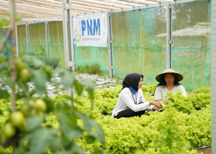 Komitmen ESG PNM Berbuah Penghargaan Bergengsi di Indonesia Sustainability Award