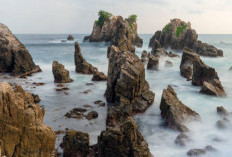 Akses ke Pantai Gigi Hiu Masih Sulit, Gubernur Lampung Turun Langsung Tinjau Jalan Rusak