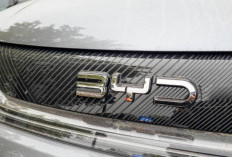 BYD Dolphin Review Lengkap: Harga, Jarak Tempuh, Kelebihan, Kekurangan, dan Apakah Layak Dibeli?