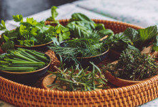 10 Tanaman yang Sering Dianggap Remeh, Ternyata Obat Herbal Ampuh untuk Berbagai Penyakit