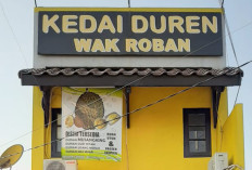 Berburu Durian di Bandar Lampung? Ini 15 Tempat Favorit Pecinta Duren