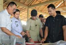 Gubernur Mirza Dorong Pupuk Hayati Cair, Kopi Lampung Berbuah Lebih Cepat dan Berkualitas
