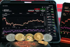 Signal Crypto Terbaru Saat Bitcoin Turun dan Altcoin Melemah, Ini Area Entry yang Dipantau Trader