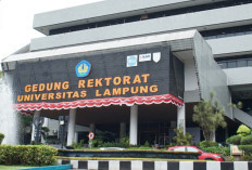 Unila Masuk Peringkat Dunia QS 2026, Strategi Akselerasi Menuju Kampus Berkelas Internasional