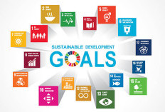 Fenomena SDGs di Indonesia: Makna, Tujuan, dan Perusahaan yang Aktif Menerapkan Pembangunan Berkelanjutan