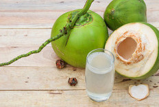 Rutin Minum Air Kelapa Muda, Ini Deretan Manfaat yang Bisa Dirasakan Tubuh
