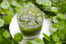 Rahasia Daun Pegagan: 7 Khasiat Luar Biasa untuk Otak, Kulit, dan Daya Tahan Tubuh