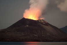 Status Anak Krakatau Masih Siaga, Video Erupsi Viral Dinyatakan Hoaks