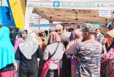 Operasi Pasar Minyakita Dimulai, Warga Lampung Bisa Beli Rp15.500 per Liter