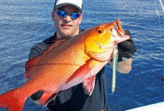 10 Spot Mancing Paling Gacor di Lampung, Dijamin Strike! Lengkap dengan Umpan Jitu