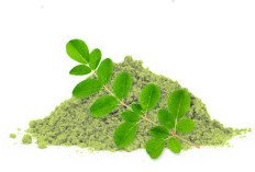 Manfaat Daun Kelor untuk Kesehatan: Superfood Murah yang Jarang Diketahui, Bisa Cegah Penyakit Ini!