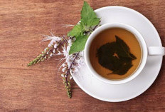 Khasiat Tanaman Kumis Kucing: Herbal Alami untuk Ginjal, Ini Penjelasan Ahli dan Cara Konsumsinya