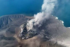 Gunung Anak Krakatau Erupsi Sepekan Ini, BMKG Ungkap Pergerakan Abu Vulkanik