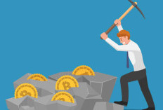 Dari Laptop Biasa Jadi Cuan Jutaan! Kisah Nyata Pemula Menambang Crypto dari Nol