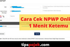 Cara Cek NPWP Pakai NIK/KTP Secara Online 2026: Cepat, Resmi, dan Tanpa Ribet!