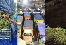 24 Jam Terjebak! Sembako Membusuk di Bakauheni, Sopir Tak Berdaya
