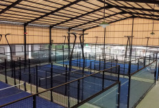Rekomendasi Lapangan Padel di Lampung untuk Pemula & Komunitas