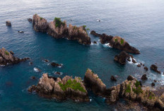 Pantai Gigi Hiu Lampung: Lokasi, Rute, Harga Tiket, Tips, dan Daya Tarik yang Bikin Wisatawan Terpukau