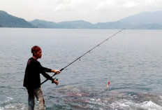 Surga Mancing Laut Dangkal di Lampung, Spot Favorit dengan Strike Melimpah